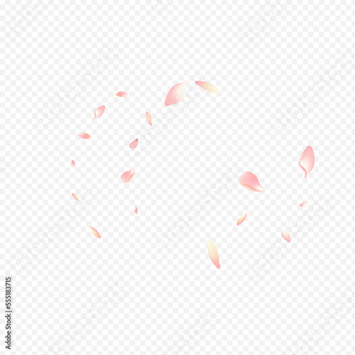 Color Flower Vector Transparent Background. Tree