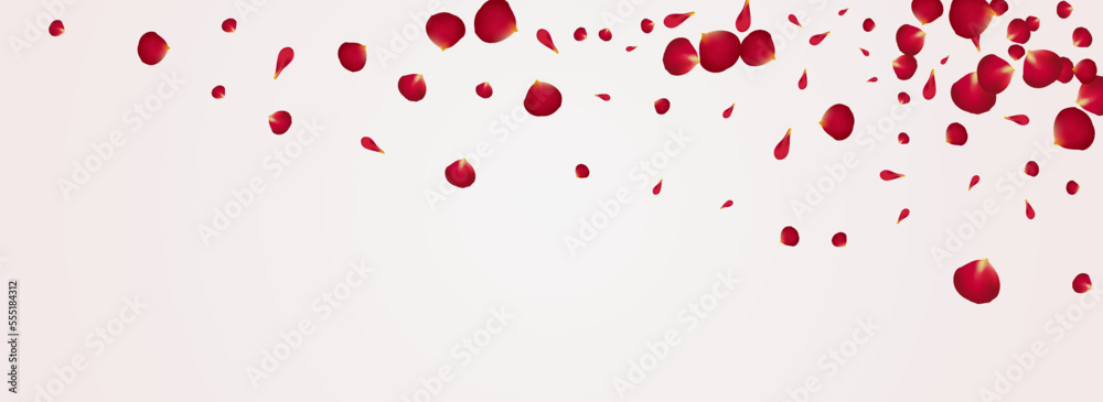 Red Lotus Fall Vector Panoramic White Background. Red Lotus Fall Vector Panoramic White Background.