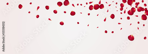 Red Lotus Fall Vector Panoramic White Background.