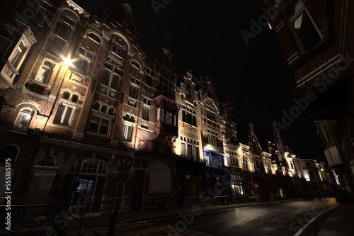 Illuminated 19th century houses in eclectic style, , at night in the famous Baudelo street in Ghent, 28 January 2021  © Kristof Lauwers