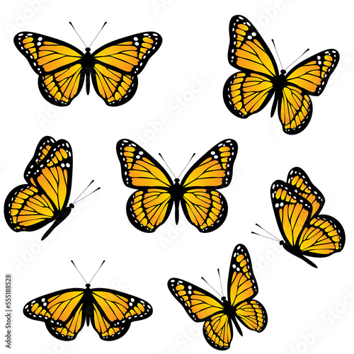 Set of monarch butterflies isolated on white background. Realistic vector illustration