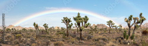 A rare rainbow over the desert in Joshua Tree National Park photo