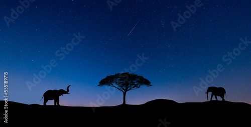 Silhouette of an elephant walking toward a tree in the night sky with shooting stars.