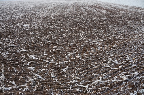 Schneebedecktes Ackerfeld bei Frost, Eis und Kälte am Nachmittag im Winter photo