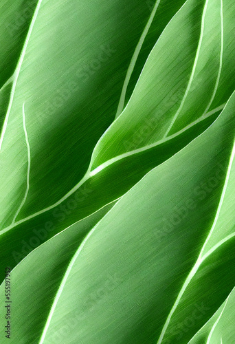 Calathea leafs close up pattern Generative AI