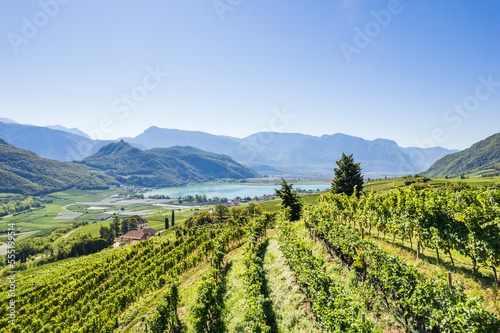 Weinberglandschaft rund um den Kalterer See im Süden Südtirols