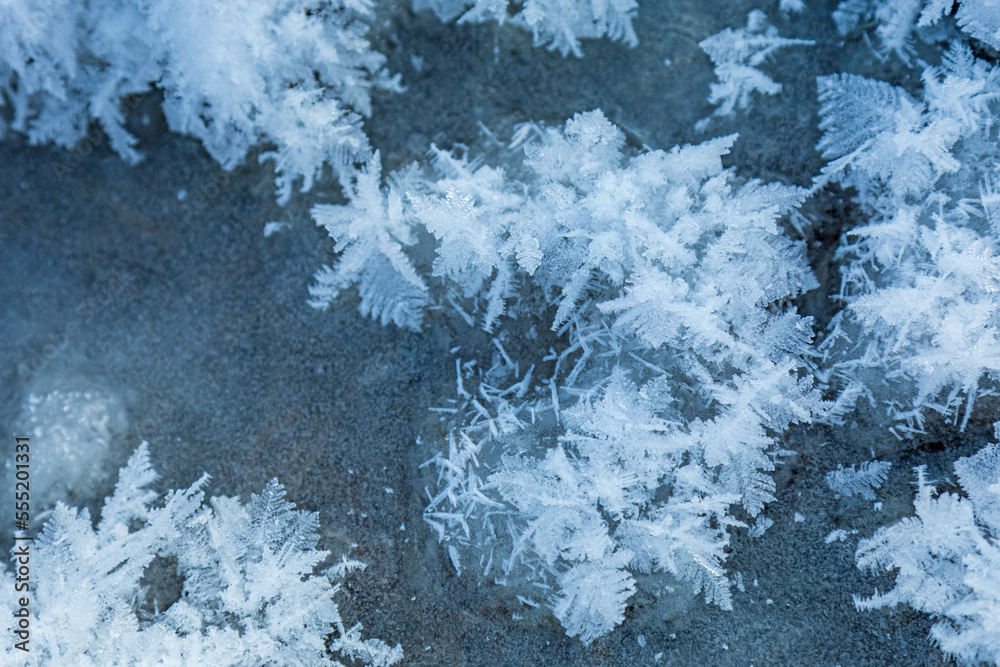 Fototapeta premium Schneekristalle - Allgäu - Winter - Frost - Eis