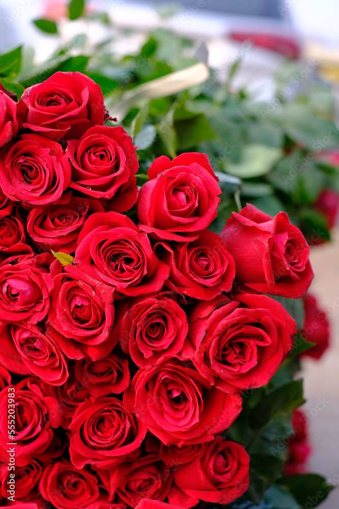 Obraz premium bunch of roses for valentine's day 