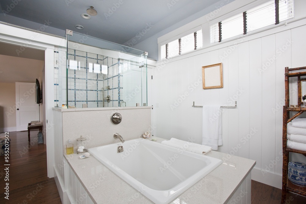 Bathroom, shower and tub in a Green Technology Home which is water and mold resistant in a Green Technology Home Bathroom, shower and tub in a Green Technology Home which is water and mold resistant in a Green Technology Home