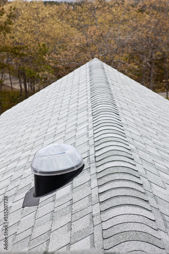 Solar tubular skylight and light reflective roof of a Green Technology Home