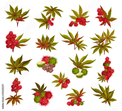 Ricinus or Castor Oil Plant with Green Palmate Leaves and Red Fruit Big Vector Set