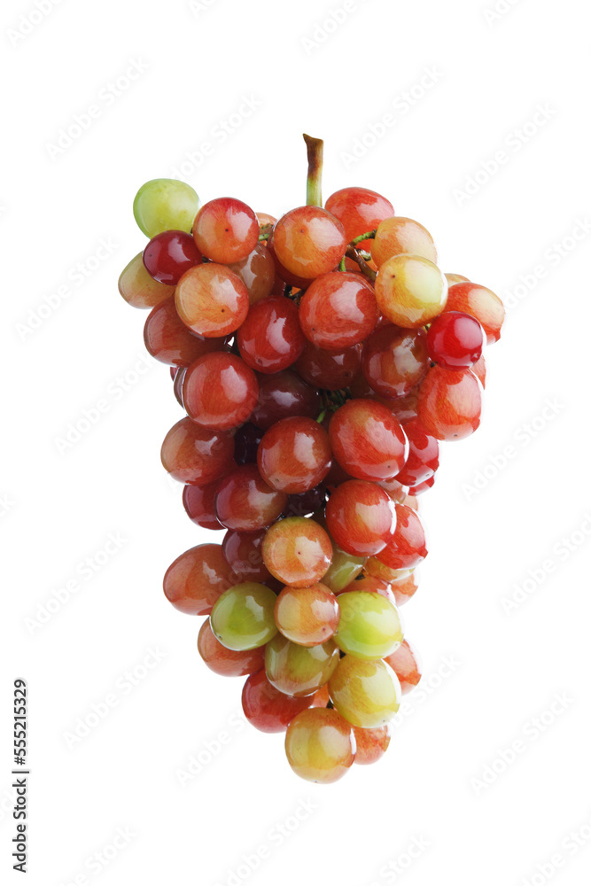 Fresh sweet ripe grape branch