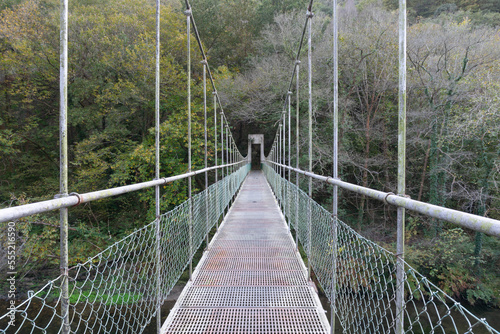 Fototapeta Naklejka Na Ścianę i Meble -  Hanging bridge in the forest