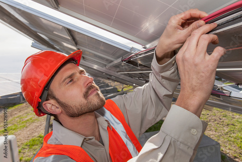 Power engineer examining power cabling of solar photovoltaic array
