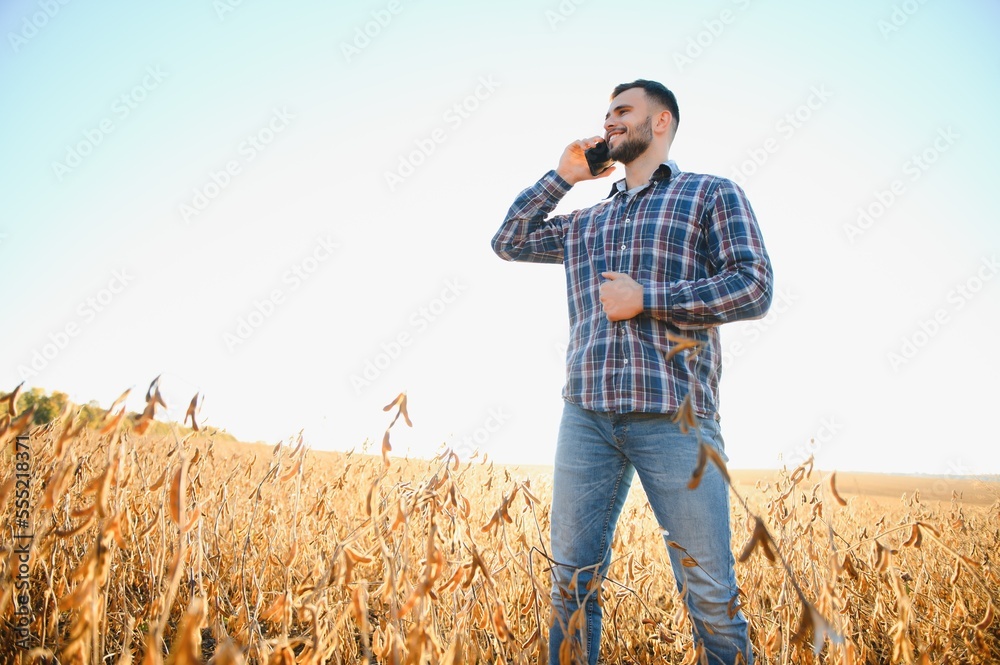 Farmer or agronomist inspecting soybean field.