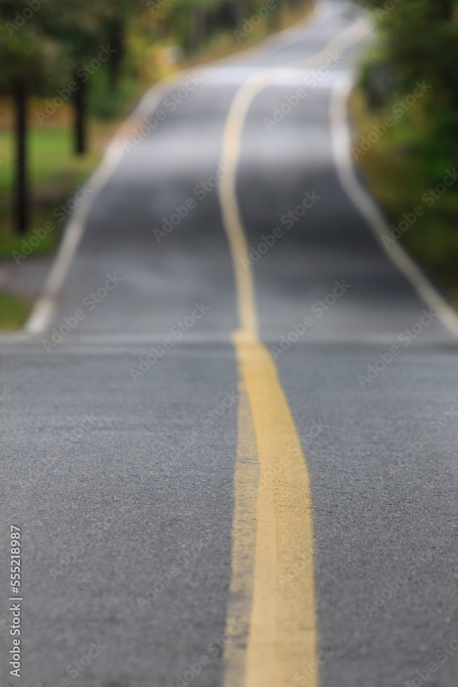 Vanishing roadway with yellow line in Dover, Massachusetts, USA Vanishing roadway with yellow line in Dover, Massachusetts, USA