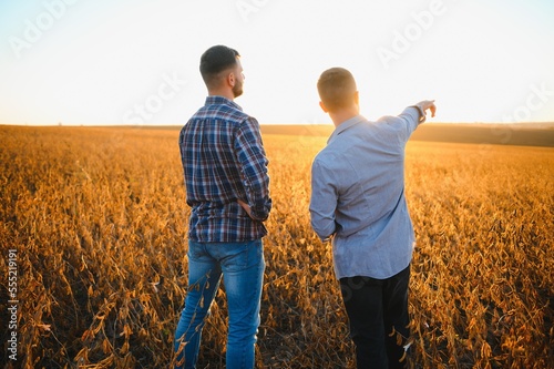 Obraz na płótnie Two farmers standing in a field examining soybean crop before harvesting