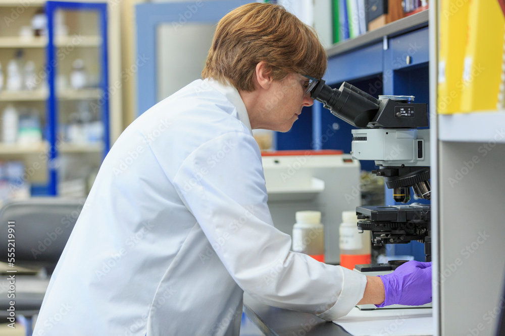 Lab chemist examining a sample slide on a microscope Lab chemist examining a sample slide on a microscope