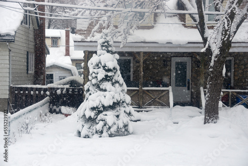 House and tree covered with snow