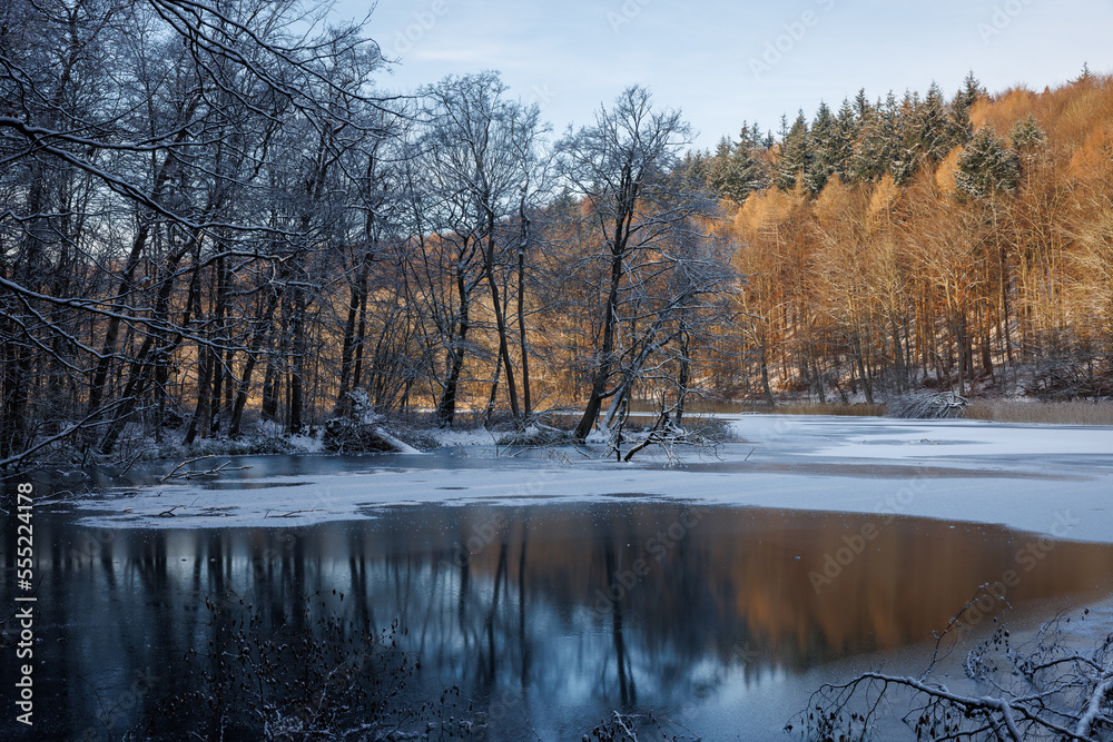Tranquil mood at Lake Ukleisee in winter with bald trees, ice and snow and beuatiful light, Schleswig-Holstein, Germany
