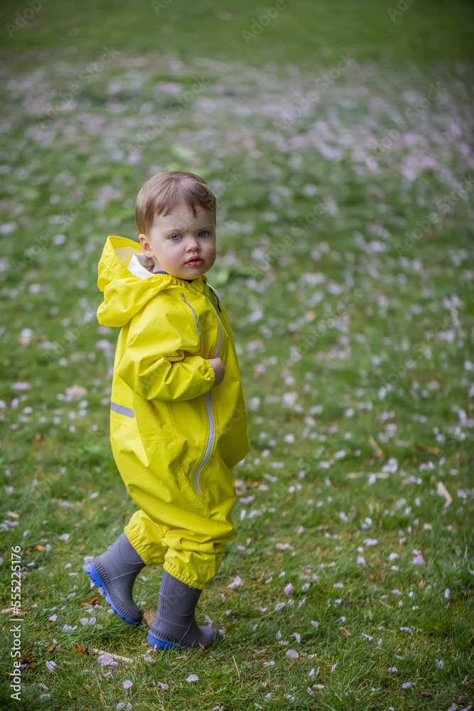 Portrait of young girl walking on the grass in the park wearing yellow rain suit and grey rubber boots and looking back over shoulder; North Vancouver, British Columbia, Canada Portrait of young girl walking on the grass in the park wearing yellow rain suit and grey rubber boots and looking back over shoulder; North Vancouver, British Columbia, Canada