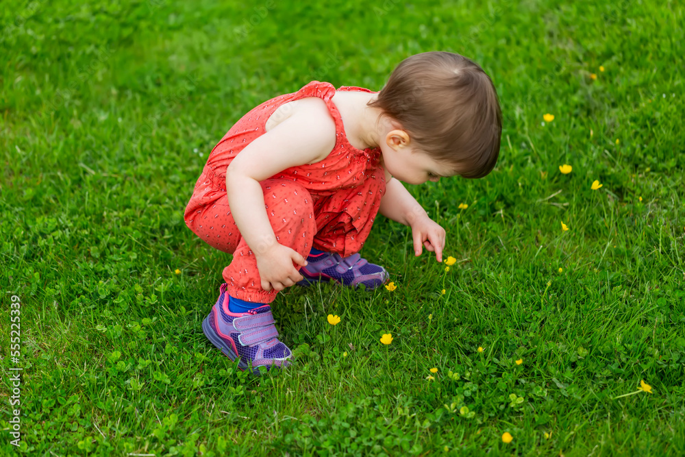 Toddler girl crouches down on a grass field to discover the small wildflowers growing; Burnaby, British Columbia, Canada Toddler girl crouches down on a grass field to discover the small wildflowers growing; Burnaby, British Columbia, Canada