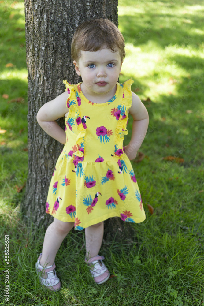 Portrait of a toddler girl standing against a tree trunk; British Columbia, Canada Portrait of a toddler girl standing against a tree trunk; British Columbia, Canada