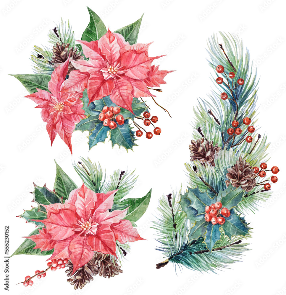 Watercolor Christmas and New Year`s compositions set. Hand-painted compositions with poinsettia flowers, berries, cones, and pine and holly branches on transparent background. Watercolor Christmas and New Year`s compositions set. Hand-painted compositions with poinsettia flowers, berries, cones, and pine and holly branches on transparent background.