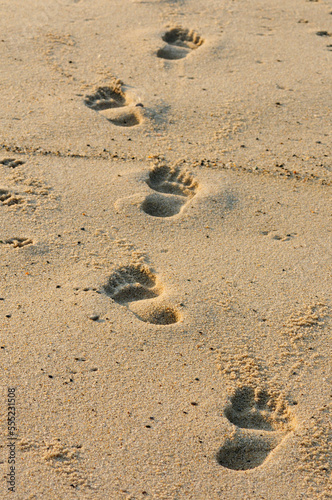 Bare footprints in the sand on a Cape Cod beach.; Cape Cod National Seashore, Massachusetts. photo