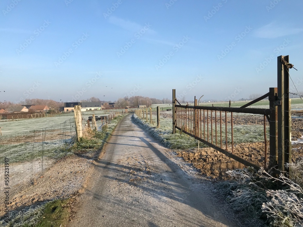 Route de campagne entre les champs sous un ciel clair d'hiver à Ghislenghien 
