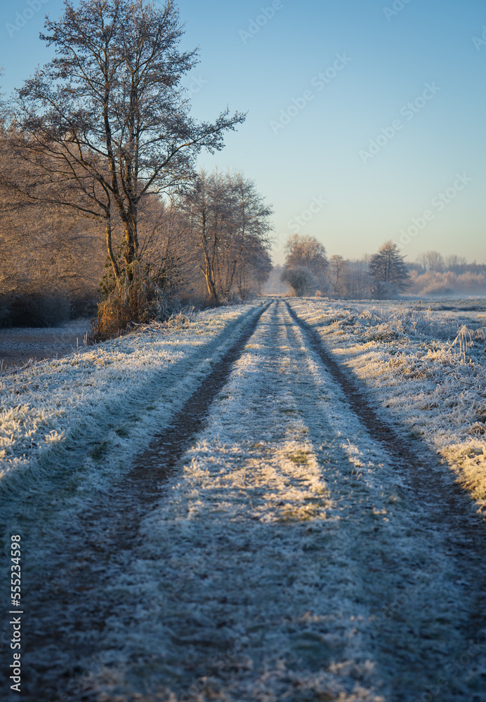 A deserted countryside path on a cold, wintersday. A deserted countryside path on a cold, wintersday.