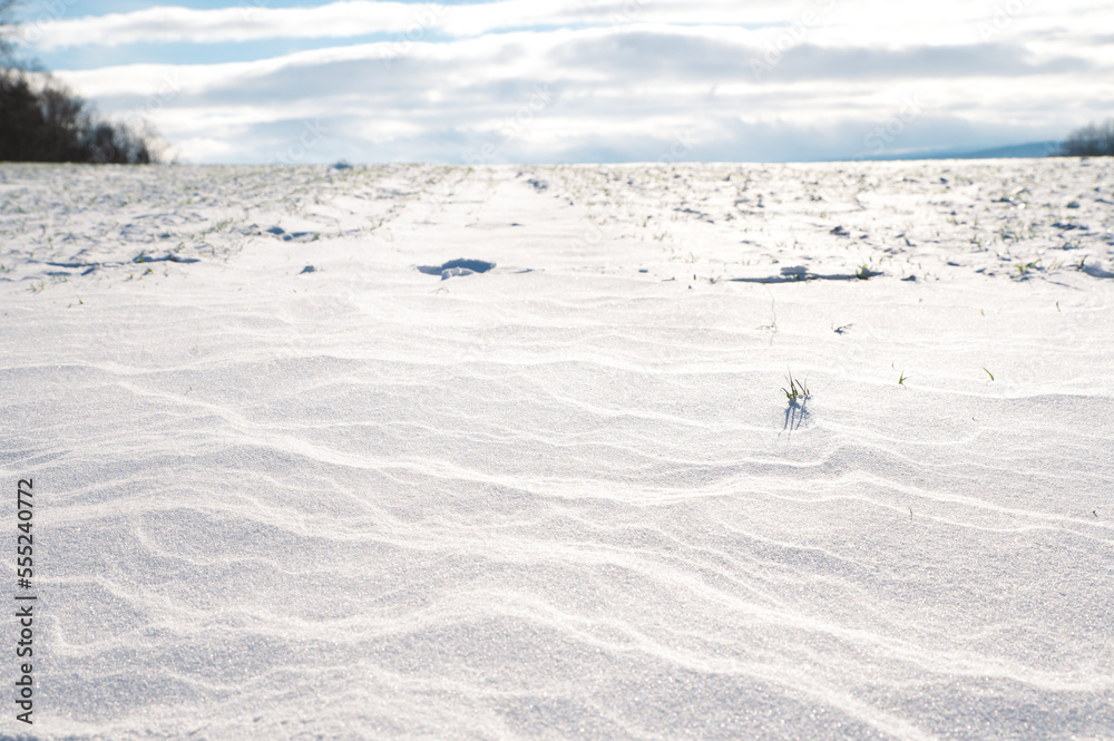 snow field with snowdrift under blue clouded horizon in winter