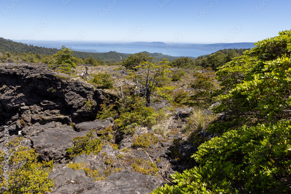 View from the Volcanic Caves Park (at the foot of Villarrica volcan) to the Villarrica lake in Chile 