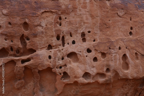 Close up of textured red sandstone canyon walls in Arches National Park in Utah