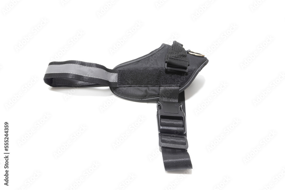 Dog harness. Isolated on white background. Dog harness. Isolated on white background.