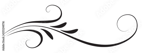 Floral ornament with leaves and abstract lines. Graceful element for decor and greeting or invitation card design