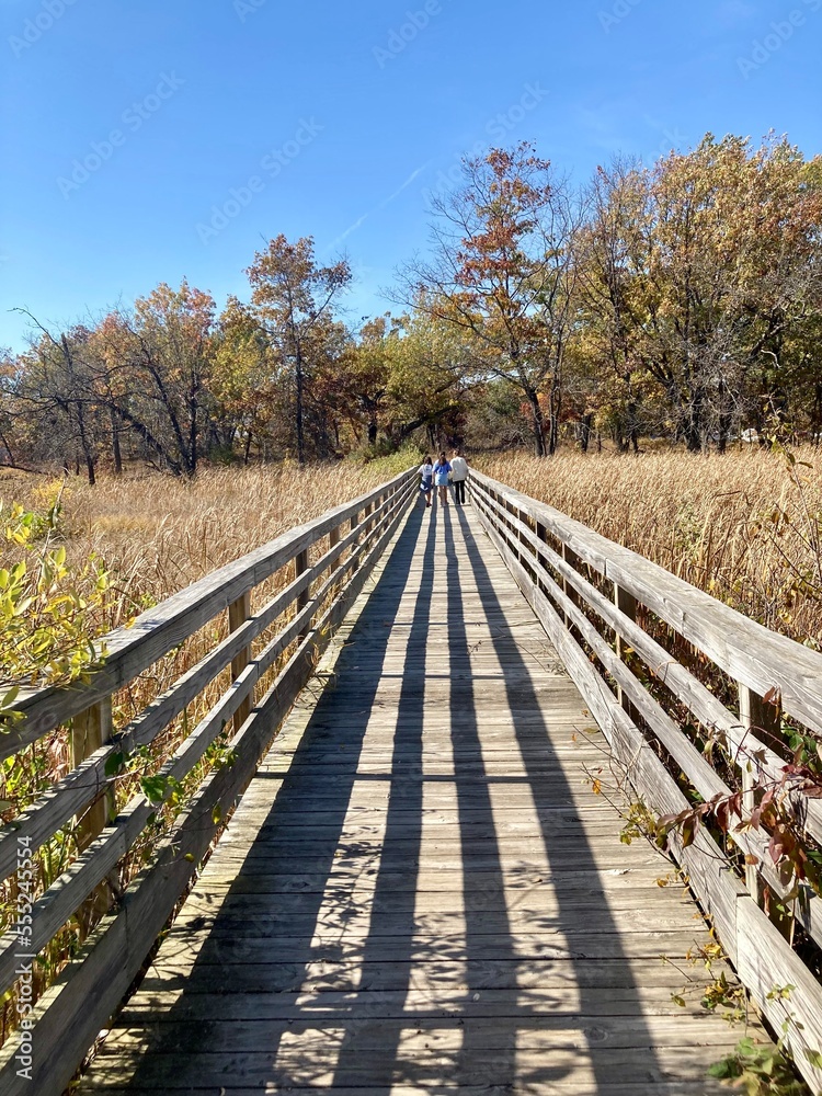 walk on a bridge in autumn walk on a bridge in autumn