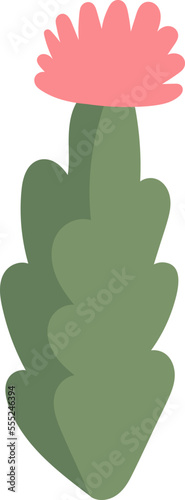 Cactus with flower flat icon Terrarium for plants
