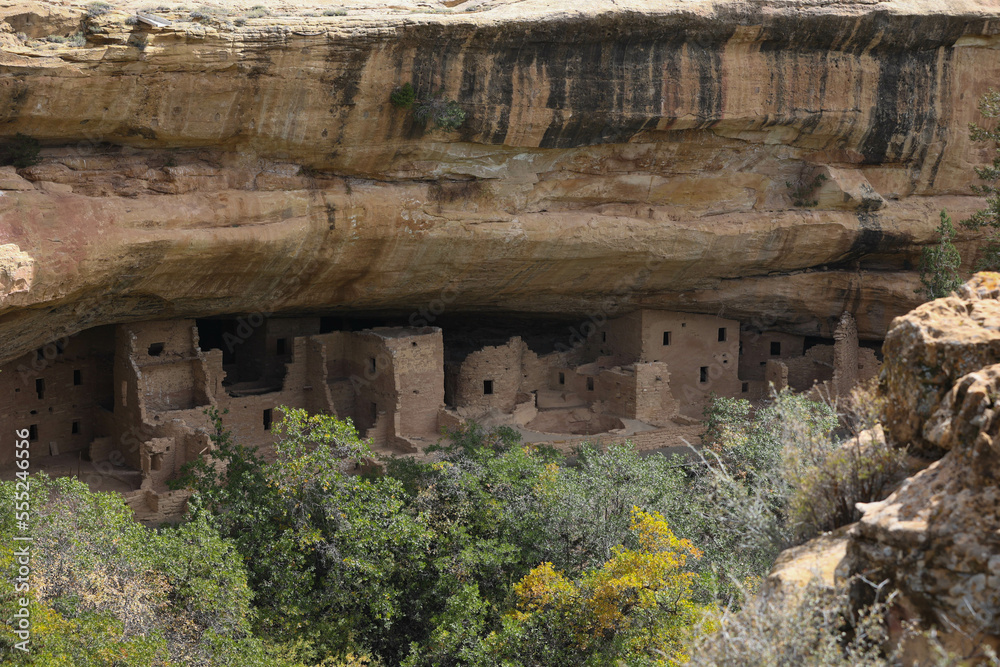 Wide shot of cliff dwellings in Mesa Verde National Park