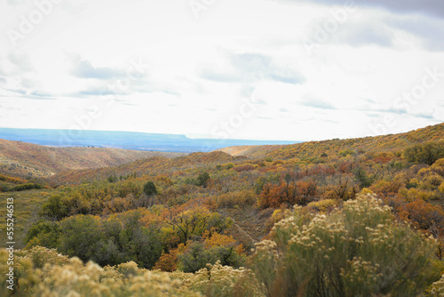 Wide autumn landscape in Mesa Verde, Colorado photo