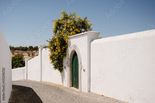 Green wooden door with stone frame and white facade with yellow flowers, in Tavira, Algarve of Portugal.