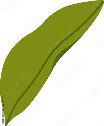 Green soybean plant flat icon Agriculture Green healthy vegetable