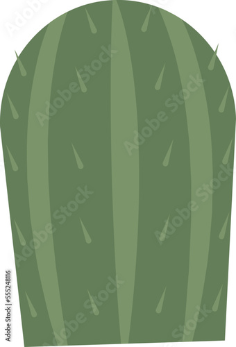Cactus for terrarium Houseplant decor element