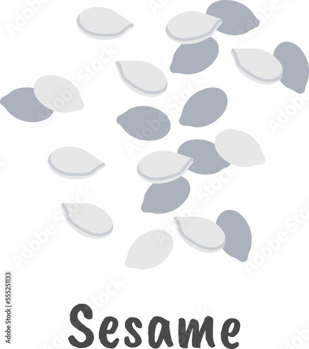 Sesame flat icon Agriculture Plants cultivation