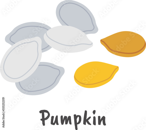 Pumpkin seeds flat icon Healthy vegan ingredient