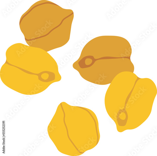 Chickpeas flat icon Grain cultivation Agriculture