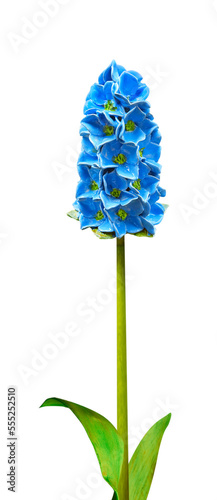 Beautiful flower imitation. Series of 7 Hyacinth for further image montages.