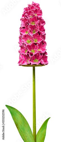 Beautiful flower imitation. Series of 7 Hyacinth for further image montages.