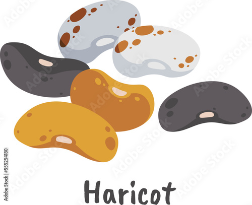 Haricot flat icon Agriculture Plants cultivation