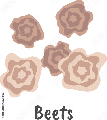 Beets seeds flat icon Agriculture Plants cultivation